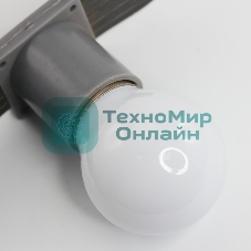 Лампа светодиодная Neon-night d-45 3 LED 1Вт шар . белая E27 25лм 220В