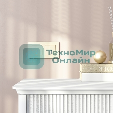 Выключатель двухклавишный проходной с подсветкой (шампань)