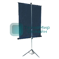 Экран на штативе Lumien Master View 127x127 см Matte White FiberGlass (LMV-100101)