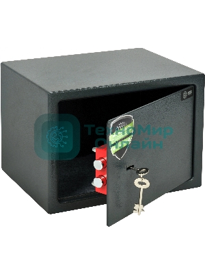 Сейф мебельный Cactus CS-SF-K25 250x350x250мм ключевой