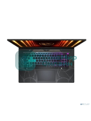 Ноутбук MSI Cyborg 17 B13WFKG-218XRU Intel Core i5-13420H/16Gb/SSD 1Tb/RTX 5060 8Gb/17.3