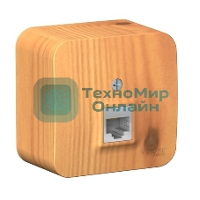 Systeme Electric Blanca наруж Ясень Розетка компьютерная RJ45, кат.5E, изолир. пластина