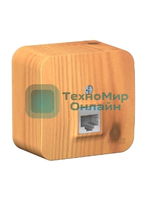 Systeme Electric Blanca наруж Ясень Розетка компьютерная RJ45, кат.5E, изолир. пластина