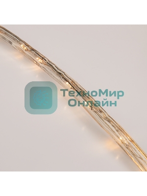 Дюралайт Neon-night LED, фиксинг (2W), 24 LED/м, теплый белый, 25 м