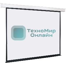 Экран с электроприводом Lumien Eco Control 229x305 см (раб. область 221х297 см) Matte White черная кайма по периметру 4:3