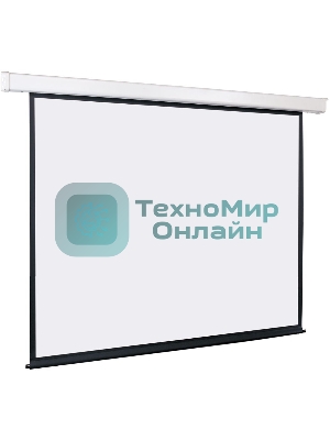 Экран с электроприводом Lumien Eco Control 229x305 см (раб. область 221х297 см) Matte White черная кайма по периметру 4:3
