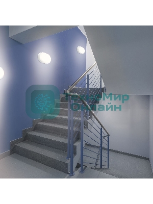 Светильник светодиодный ЖКХ Elementary 200х98х46 15Вт 1100лм 4000К 160-260В IP65 овал бел. Gauss 161411215