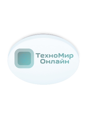 Потолочный светодиодный светильник Ambrella light FZ1008 WH белый 16W 6400K D250*55 (Без ПДУ)