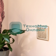 Рамка на 1 пост (шампань) W0012111