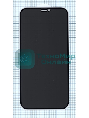 Защитное стекло Privacy 