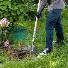 Лопата штыковая Сибртех нерж. сталь, 200х265 мм, ребра жесткости, без черенка, Россия