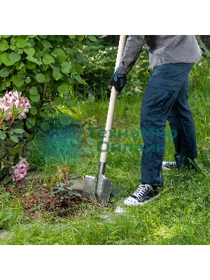 Лопата штыковая Сибртех нерж. сталь, 200х265 мм, ребра жесткости, без черенка, Россия