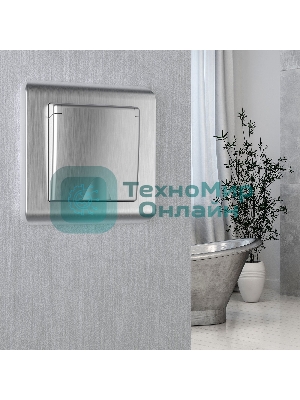 Рамка на 1 пост (серебряный) W0012106