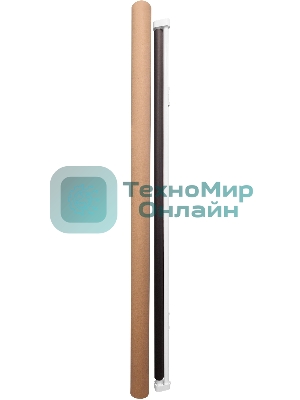 Экран Cactus 150x150 см Map type CS-PSRM-150x150-BK 1:1 настенно-потолочный рулонный черный