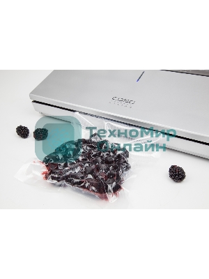 Вакуумный упаковщик CASO GourmetVAC 480