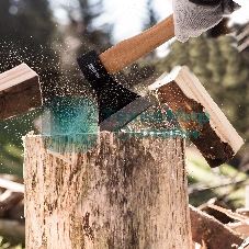 Топор Sparta 800 г в сборе кованый деревянное топорище