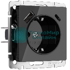 Розетка с заземлением, шторками и USB тип A+C (черный акрил)