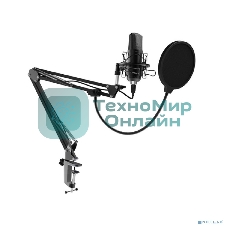 Микрофон Ritmix RDM-169 черный
