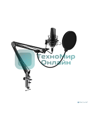 Микрофон Ritmix RDM-169 черный