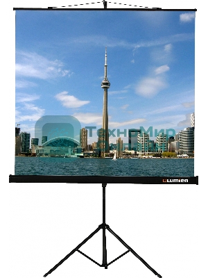 Экран на штативе Lumien Eco View 203x203см (раб.область 195х195 см) Matte White с возможностью настенного крепления 1:1