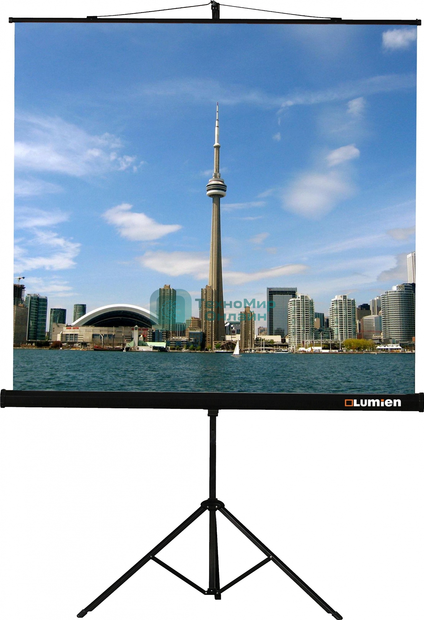 Экран на штативе Lumien Eco View 180x180 см (раб.область 174х174 см) Matte White с возможностью настенного крепления 1:1