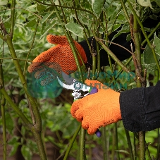 Перчатки в наборе Palisad 4 пары, цвета в ассортименте, ПВХ точка, L