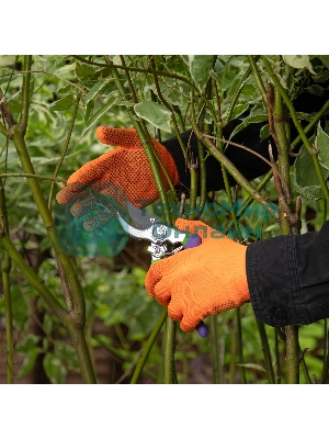 Перчатки в наборе Palisad 4 пары, цвета в ассортименте, ПВХ точка, L