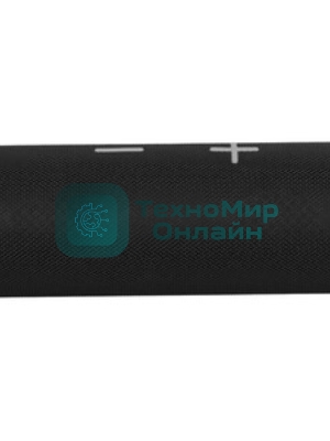 Портативная колонка Soundmax SM-PS5024B черный