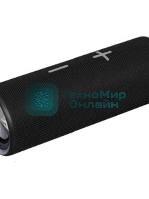 Портативная колонка Soundmax SM-PS5024B черный