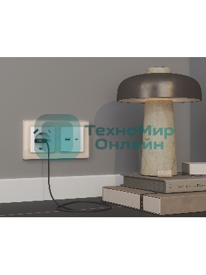 Комплект механизма электрической розетки ALFA Белый глянец 2USB A+C 20W (быстрая зарядка) с/з QUANT (AP1100, VM160) MA110010