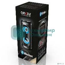 Акустическая система Ginzzu GM-210 Midi RGB/BT/USB/TF/FM/ДУ черный