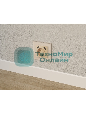 Комплект механизма электрической розетки ALFA Шампань 2USB A+A 18W (быстрая зарядка) с/з QUANT (AP6090, VM155) MA609010
