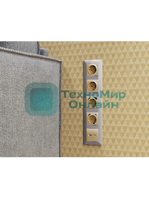 Комплект механизма электрической розетки ALFA Шампань 2USB A+A 18W (быстрая зарядка) с/з QUANT (AP6090, VM155) MA609010