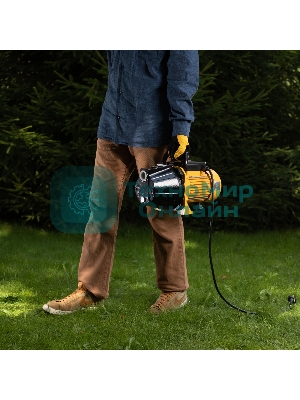 Садовый поверхностный насос GP1100C, 1100 Вт, 4500 л/ч, подъем 46 м, чугун Denzel