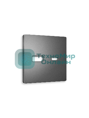Лицевая панель ALFA (Антрацит серый) для розетки 2USB тип A+C QUANT AP6610