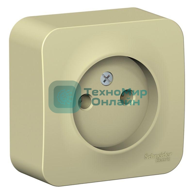 Розетка б/з без шторок, изолир. пластина 16А, 250В SE Blanca наруж Беж