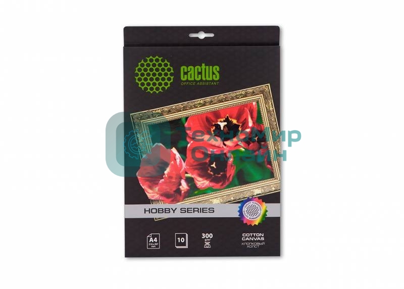 Холст Cactus CS-CA426010 A4/260г/м2/10л. для струйной печати