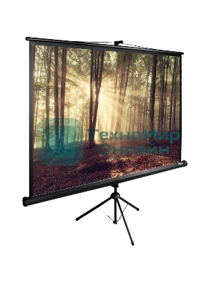 Экран Cactus 135x180 см TriExpert CS-PSTE-180х135-BK 4:3 напольный рулонный