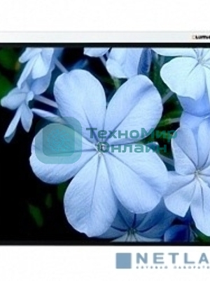Экраны LUMIEN Master Picture LMP-100102