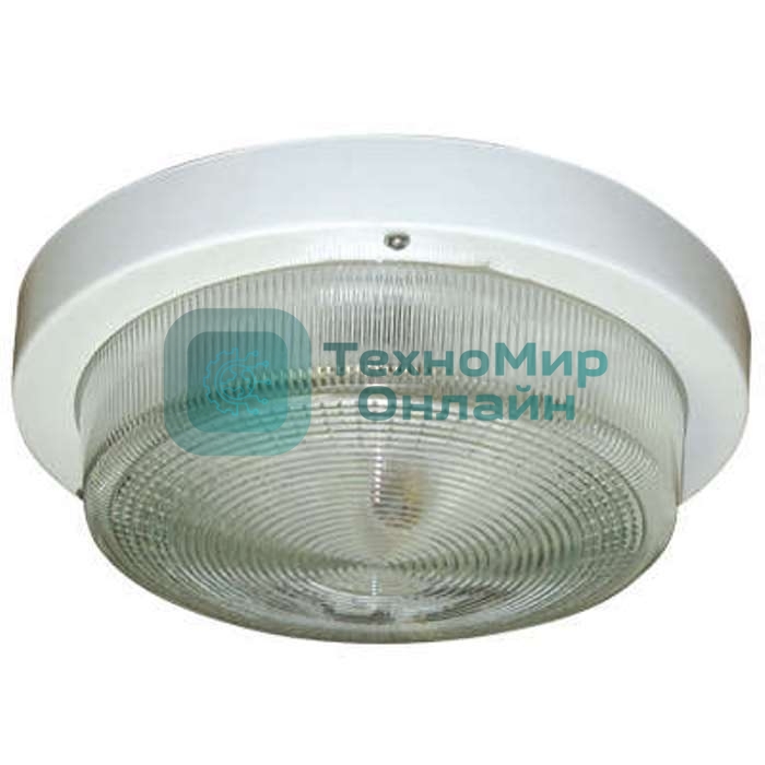 Светильник ЭЛЕТЕХ НПП 03-100-002 