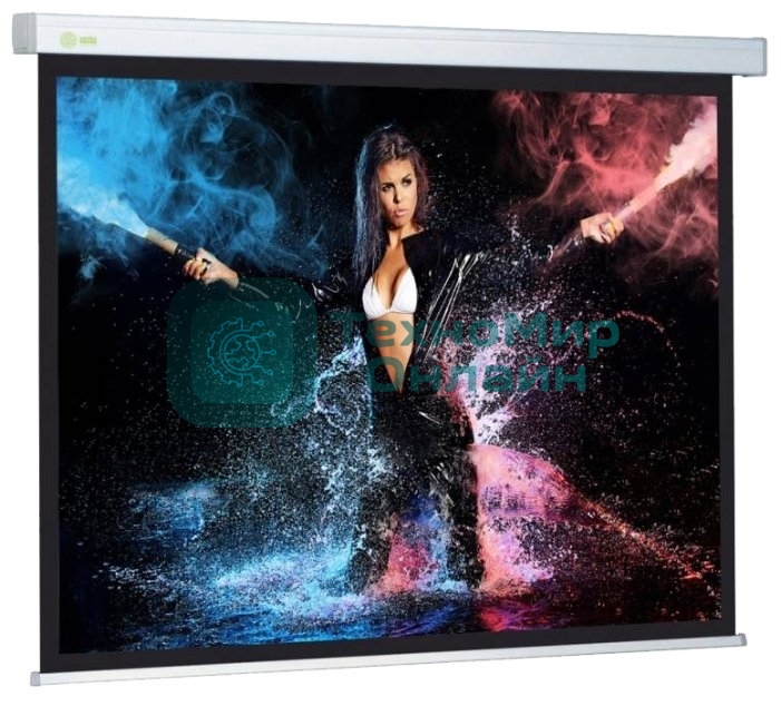 Экран Cactus 180x180см Wallscreen CS-PSW-180x180 1:1 настенно-потолочный рулонный белый