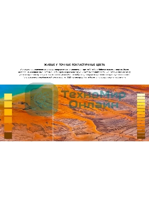 Телевизор Hisense 55