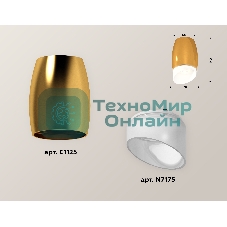 Светильник Ambrella Light XS1125022 PYG/FR золото желтое полированное/белый матовый MR16 GU5.3 (C1125, N7175)