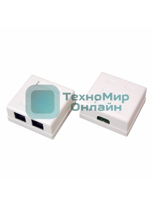 Розетка Rexant сетевая LAN, на стену, (2 гнездо 8Р8С (Rj-45), 5e кат)