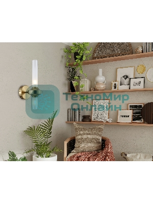 Настенный светильник Ambrella light LH55362/2 BS/CL латунь/прозрачный G9/2 max 30W 150*100*320