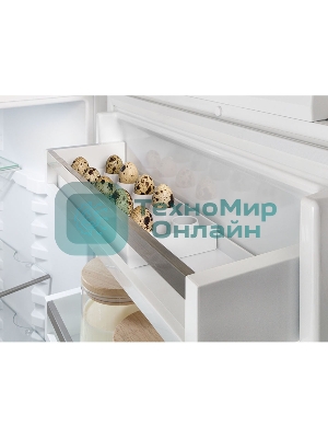 Встраиваемый холодильник Liebherr BUILT-IN ICNSE 5103-20 001