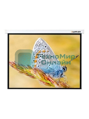 Экран с электроприводом Lumien Master Control 229x305 см (146