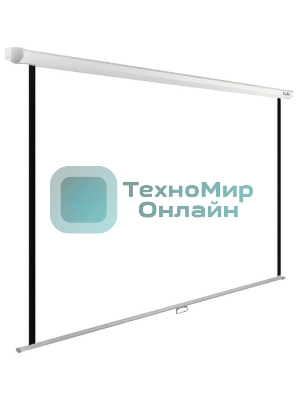 Экран Cactus 220x165 см WallExpert CS-PSWE-220x165-WT 1:1 настенно-потолочный рулонный белый