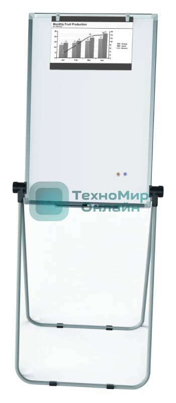 Флипчарт Deli E7886 сталь магнитно-маркерная, лак, 60х90см на подставке, алюминиевая рама белый, лоток для аксессуаров с аксессуарами