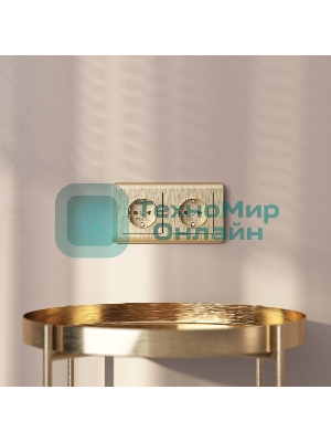 Рамка на 2 поста (шампань) W0022111